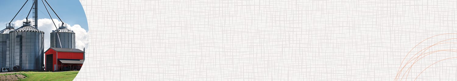 Commercial farm with grain bins