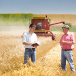 Farmer and businessman talking on wheat field