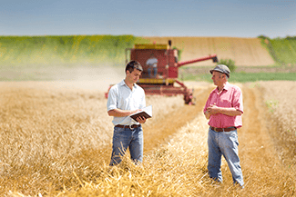 Farmer and businessman talking on wheat field